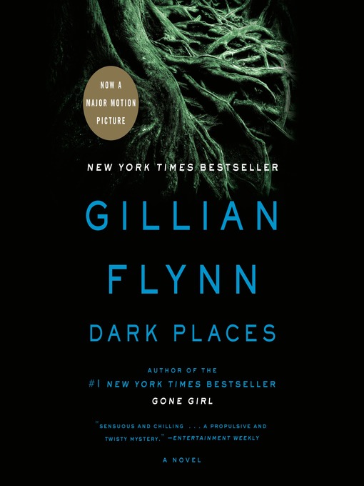Title details for Dark Places by Gillian Flynn - Wait list